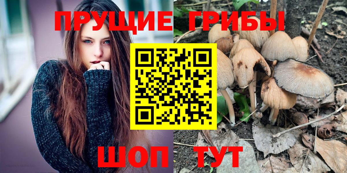 Псилоцибиновые грибы ЛСД  Вход с VPN  Нальчик 